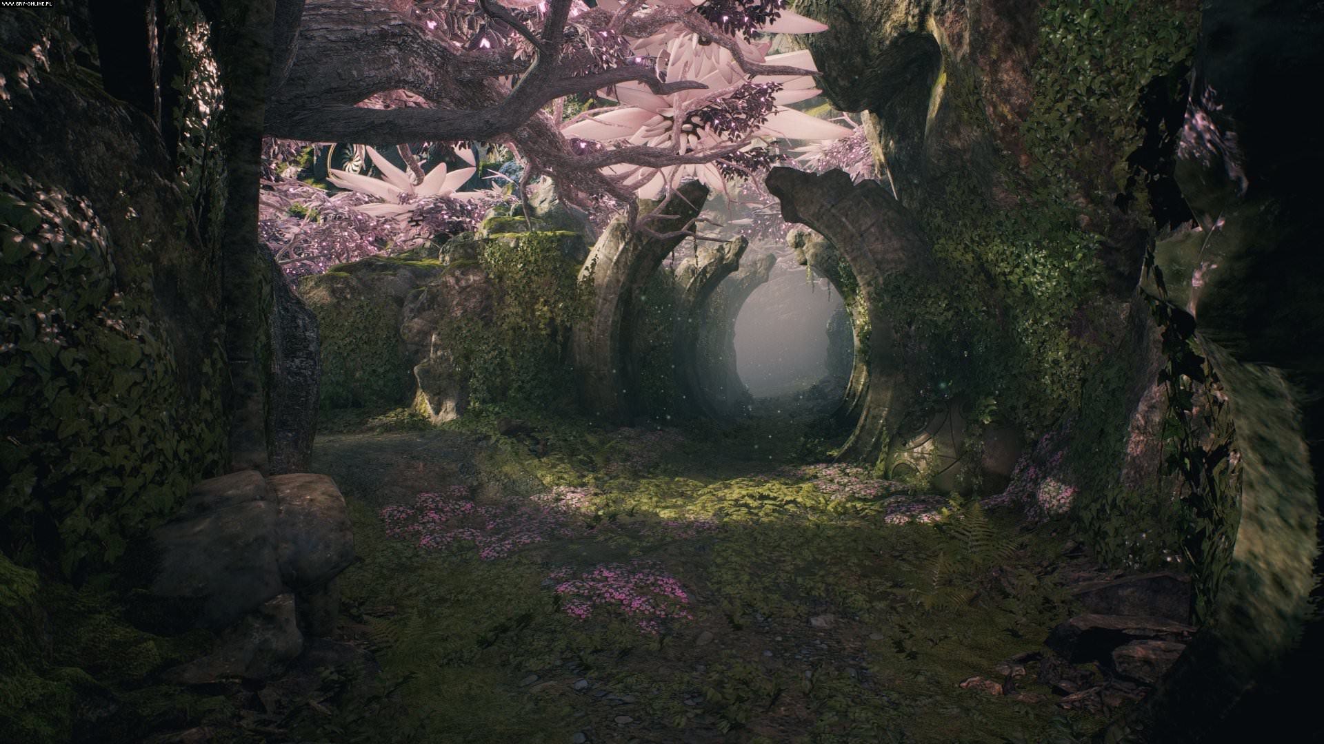 A narrow passage is shown through some undergrowth, with a canopy of spiky pink leaves overhead forming a tunnel